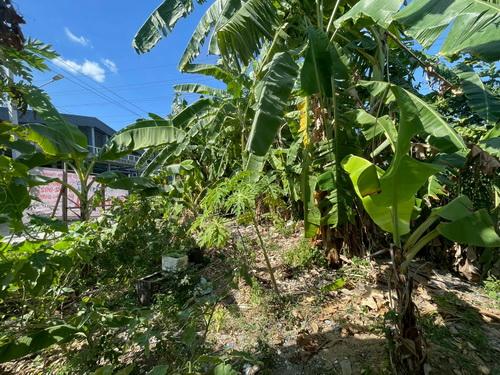 ขายที่ดินเปล่า 119 ตร.ว.ซอยคลองหลวง33 ต.คลองหนึ่ง อ.คลองหลวง จ.ปทุมธานี 11