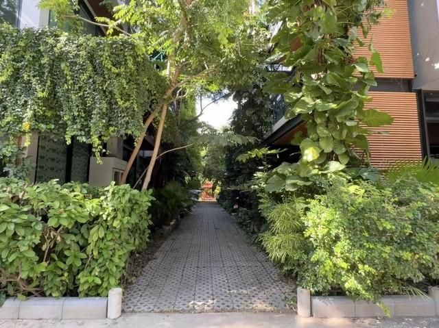 ให้เช่า ออฟฟิศ 3 ชั้น ติดคลอง ทำเลทอง บางนา-สุขุมวิท 105 เดินทางสะดวก เหมาะทำโฮมออฟฟิศ 3