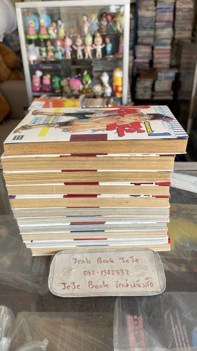 หนังสือการ์ตูน KAZE สายลมทลายฟ้า 1-11 จบ รูปที่ 9