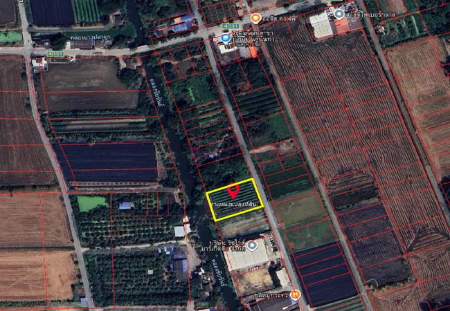 ขายที่ดิน ตำบลคลองโยง อำเภอพุทธมณฑล นครปฐม ถนนบางเลน ใกล้ ม.ราชภัฏสวนสุนันทา 1