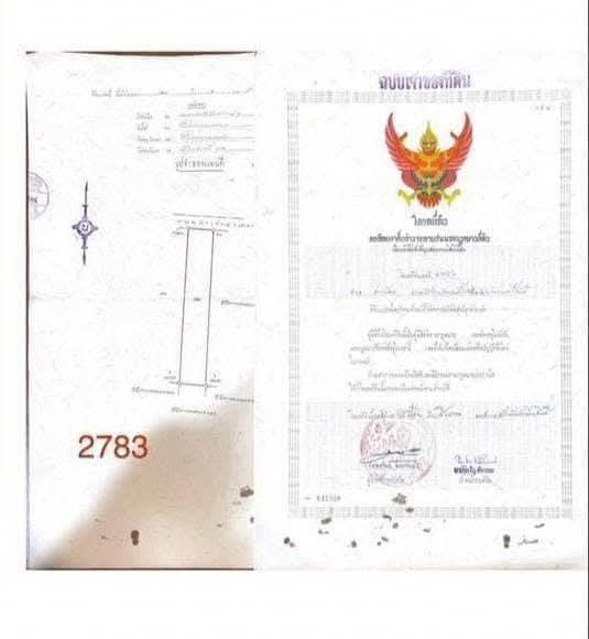 ที่ดินโฉนดครุฑแดงราคาถูกมาก23ไร่เศษ200,000 บาทต่อไร่ต่ำกว่าราคาประเมิน 12