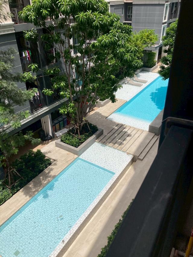 พลัมคอนโดมิกซ์ เเจ้งวัฒนะ 8