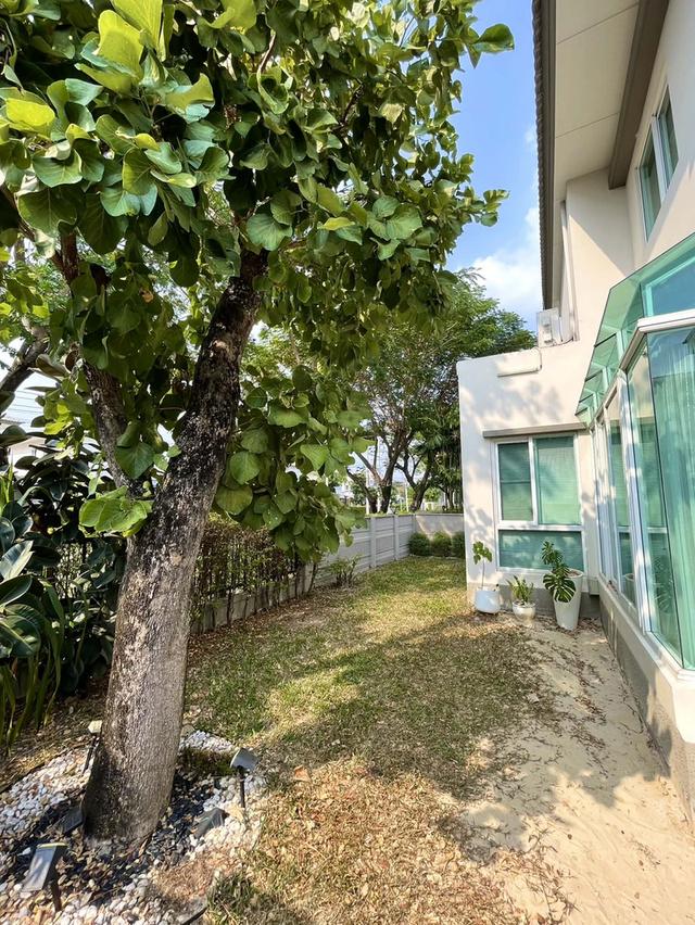 ขายบ้านเดี่ยว 2 ชั้น คาซ่าวิลล์ ดอนเมือง - สรงประภา หลังมุม พร้อมอยู่ ใกล้สนามบินดอนเมือง 16