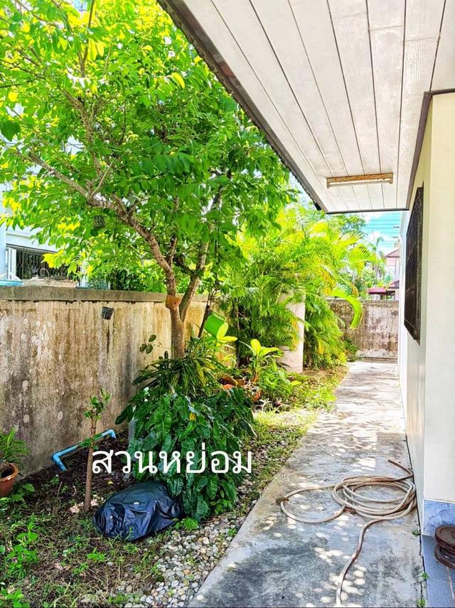 ขายบ้านเดี่ยว 3 ห้องนอน 2 ห้องน้ำ หมู่บ้านสยามนครธานี  นครศรีธรรมราช 2