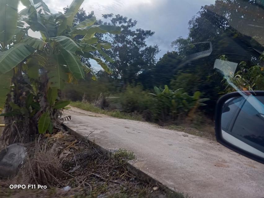 ขายที่ดินติดคลอง 3