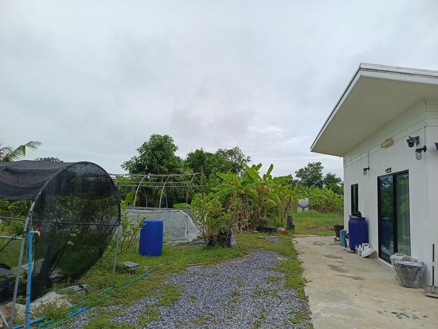 ขายที่ดิน 2