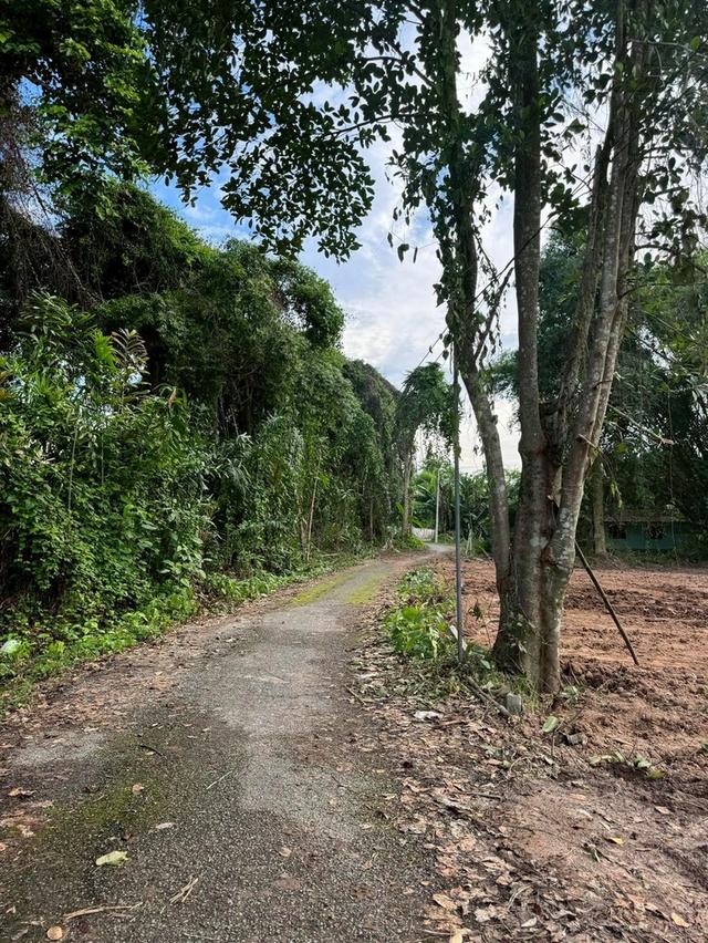 โอกาสพิเศษ ที่ดินริมน้ำนครนายก เกือบ 2 ไร่ ปรับราคาลงเหลือ 4.5 ล้านบาท 15