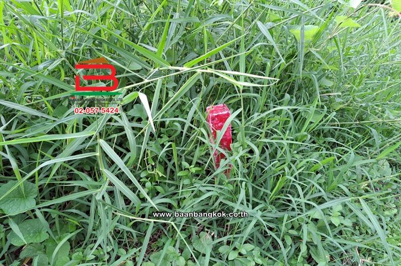 ที่ดินเปล่า ซอยวัชรพล 3 เนื้อที่ 499.3 ตร.ว ถนนวัชรพล แขวงคลองถนน เขตสายไหม 5