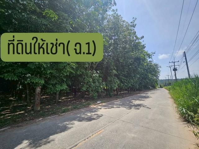ให้เช่าที่ดินผังม่วงใกล้ปิ่นทอง 5 ชลบุรี ผังม่วงลาย บนเนื้อที่ 20-1-16 ไร่ เขาคันทรง ศรีราชา ชลบุรี 3