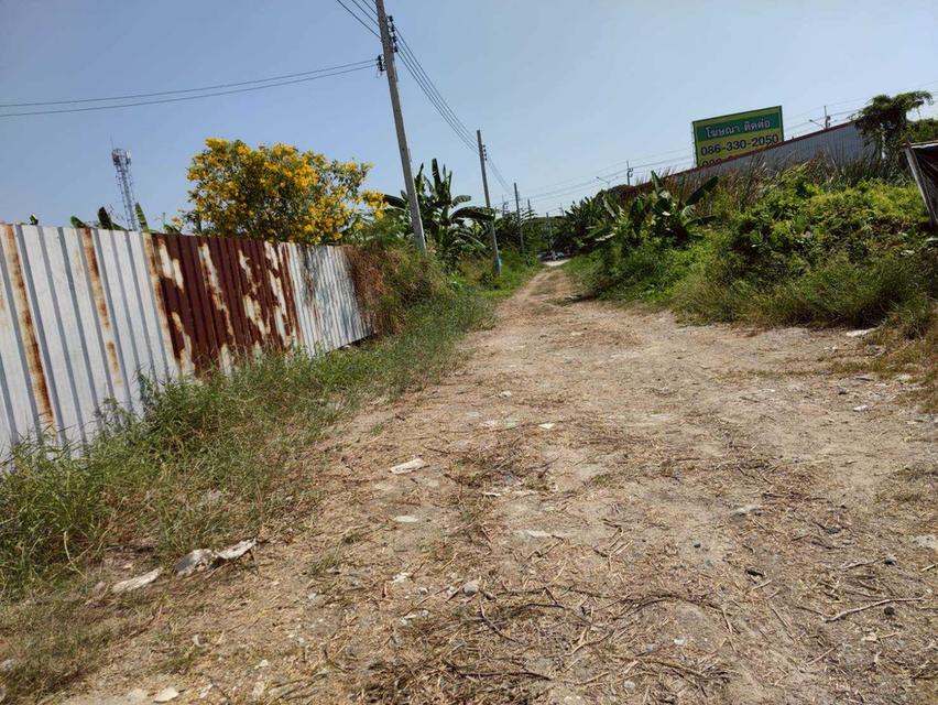 ที่ดินอสังหาริมทรัพย์ 8