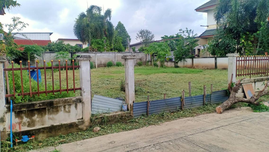 ที่ดินเปล่าในโครงการหมู่บ้าน ซอยท่าอิฐ จังหวัดนนทบุรี 1