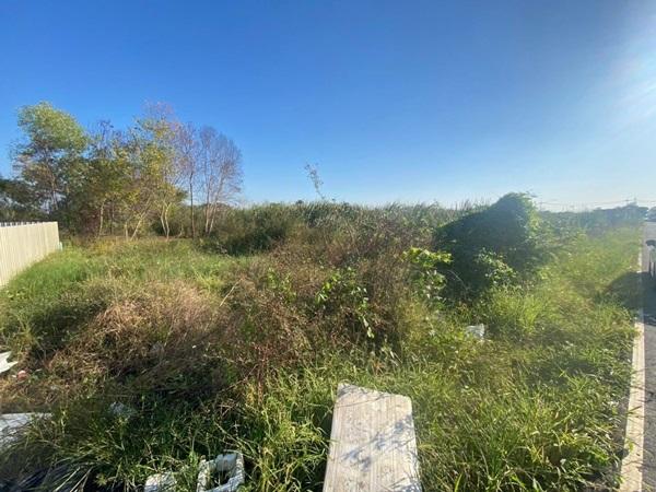 ขายยกที่ดิน 2 แปลงติด ต.หนามแดง อ.เมือง จ.ฉะเชิงเทรา เนื้อที่รวม 3-1-72.2 ไร่ โทร 096-0124534 รูปย่อยที่ 4