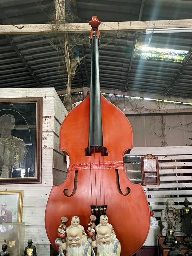 ดับเบิ้ลเบส เยอรมัน Double Bass สูง190ซม