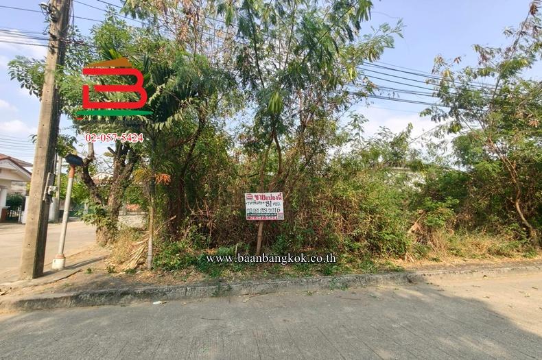 ที่ดินเปล่า หมู่บ้านปาริชาต 345 (โซน B ซอย 15) เนื้อที่ 81 ตร.ว ตำบลบางคูวัด อำเภอเมืองปทุมธานี ปทุมธานี 1