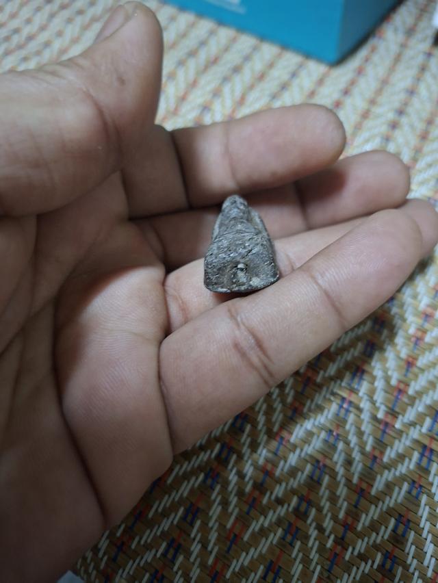 ปู่ทวดพระรอดหน้าใหญ่ 2