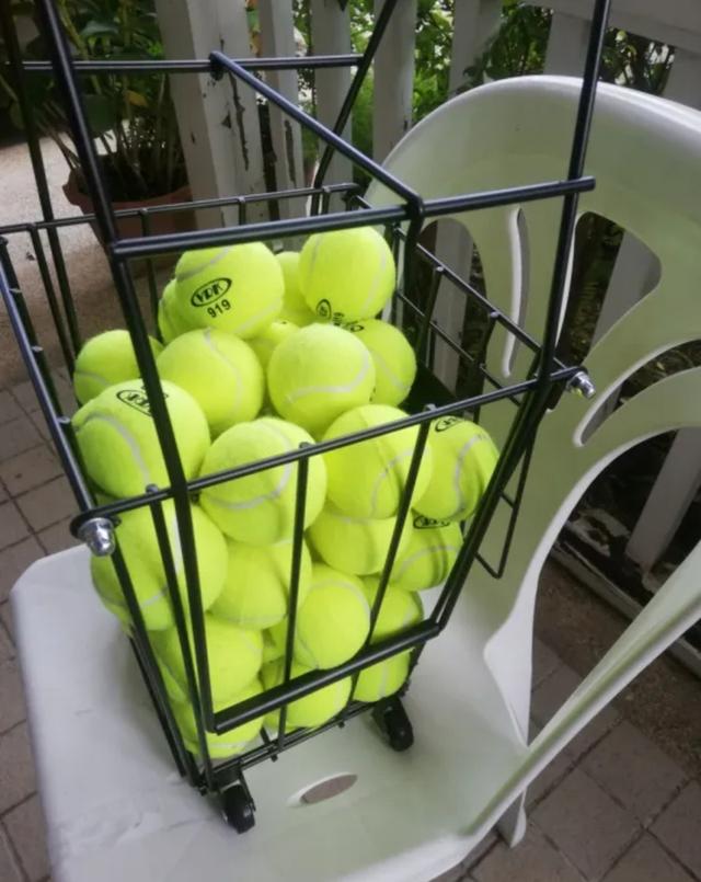 Tennis Ball ลูกเทนนิส  2