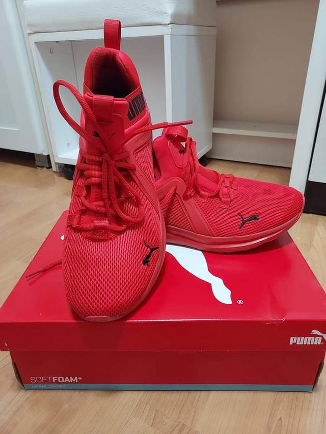 รองเท้า Puma - Enzo 2 สีแดง 1