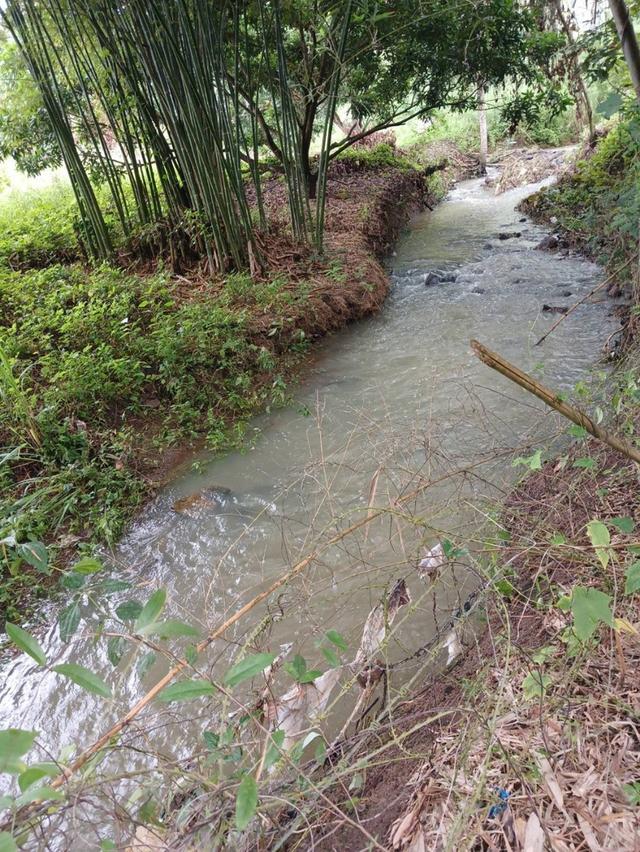 ขายที่ดินแปลงใหญ่ พร้อมสวนผลไม้ อยู่ติดถนนลาดยาง ราคาต่อรองได้ 2