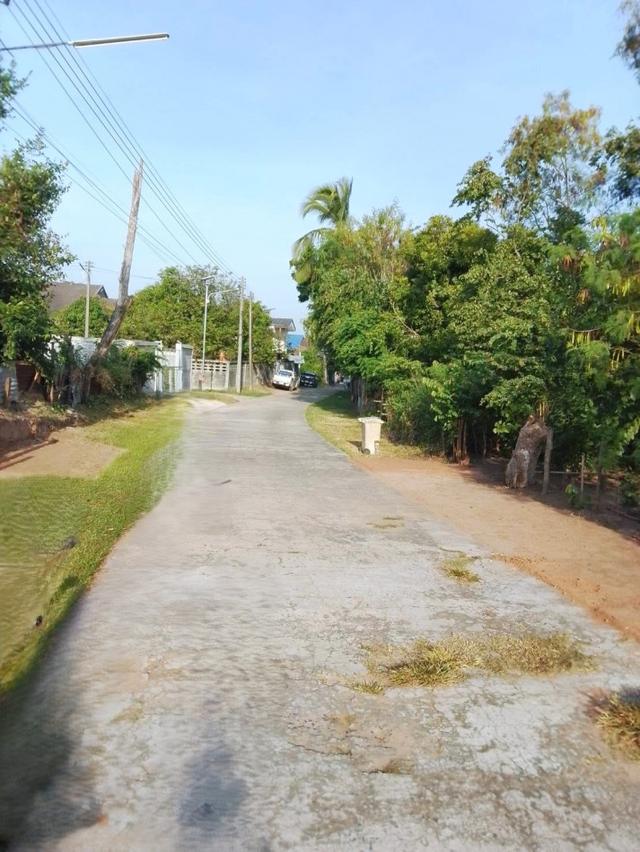 ขายที่ดินแปลงสวย เนื้อที่ 300 ตร.ว. ทำเลชุมชนบ้านหนองบัวลาย อ.บัวลาย จ.นครราชสีมา 4