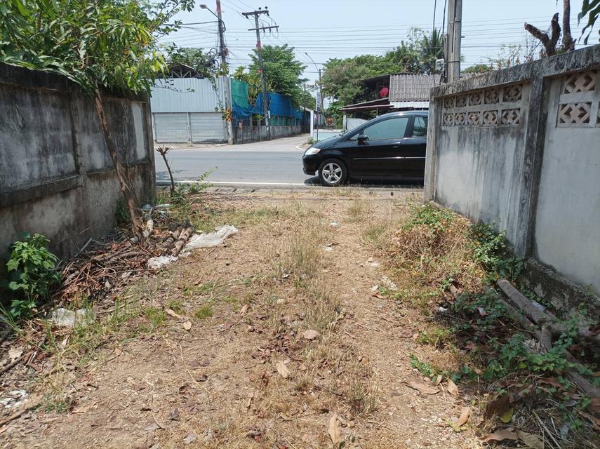 ขายที่ดิน 11ไร่95ตร.ว. ต.ป่าป้อง อ.ดอยสะเก็ด จ.เชียงใหม่ 2