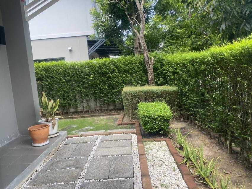 ID 3222 House for rent Perfect Place Ramkhamhaeng164 10
