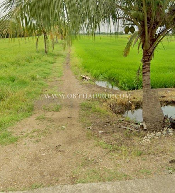 ที่ดินถมแล้ว คลอง 23 ใกล้อบต.ศีรษะกระบือ ถ.รังสิต-นครนายก องครักษ์ นครนายก 4