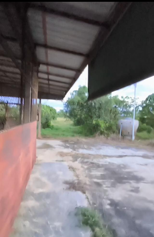 โรงงานพร้อมสวนที่ดินส้มโอ 9