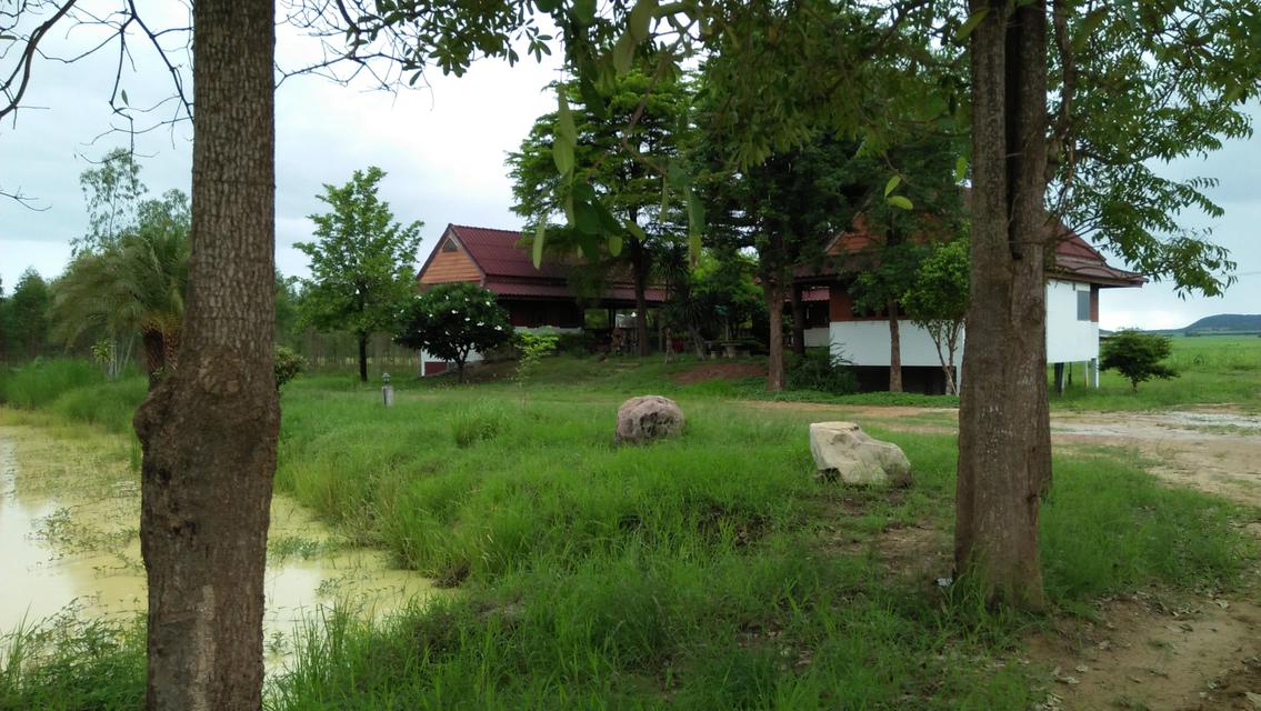 Large Land Suburban of Kanchaburi with Chanote Title Suitabl 4