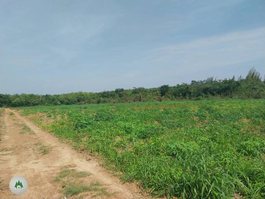 ขายที่ดิน โฉนดราคาถูก บ้านท่าเคย อำเภอสวนผึ้ง จังหวัดราชบุรี  เนื้อที่ 11 ไร่ 💰ราคาไร่ละ 230,000 บาท  4