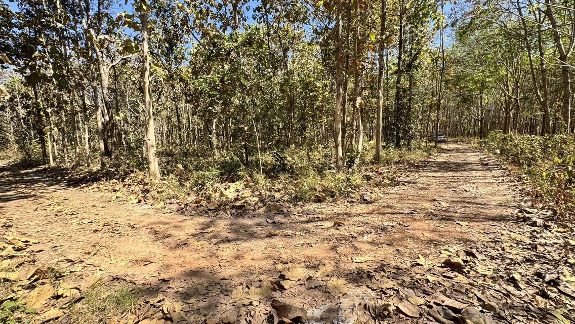 ขายที่ดิน อำเภอ พรรณา 8