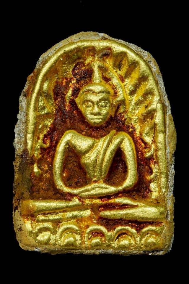 ซุ้มกอหน้าทอง เปิดแบ่งปันค่ะ