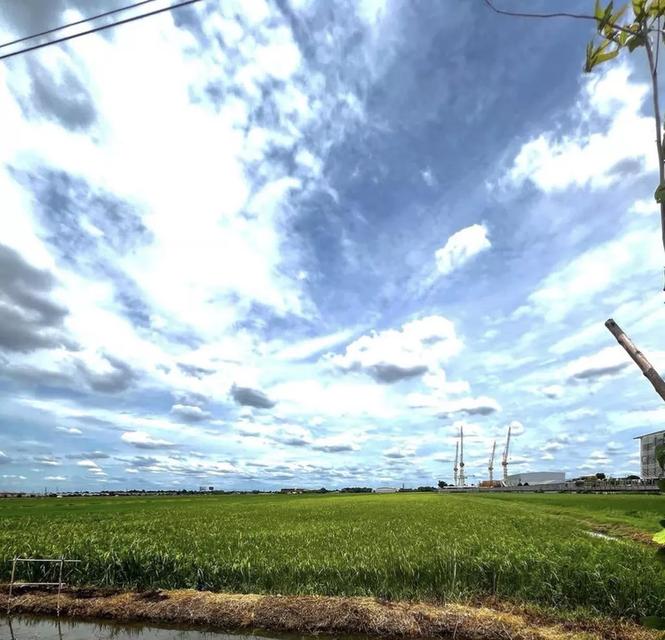 ขายที่ดิน ลำลูกกา ปทุมธานี BRE25518 3