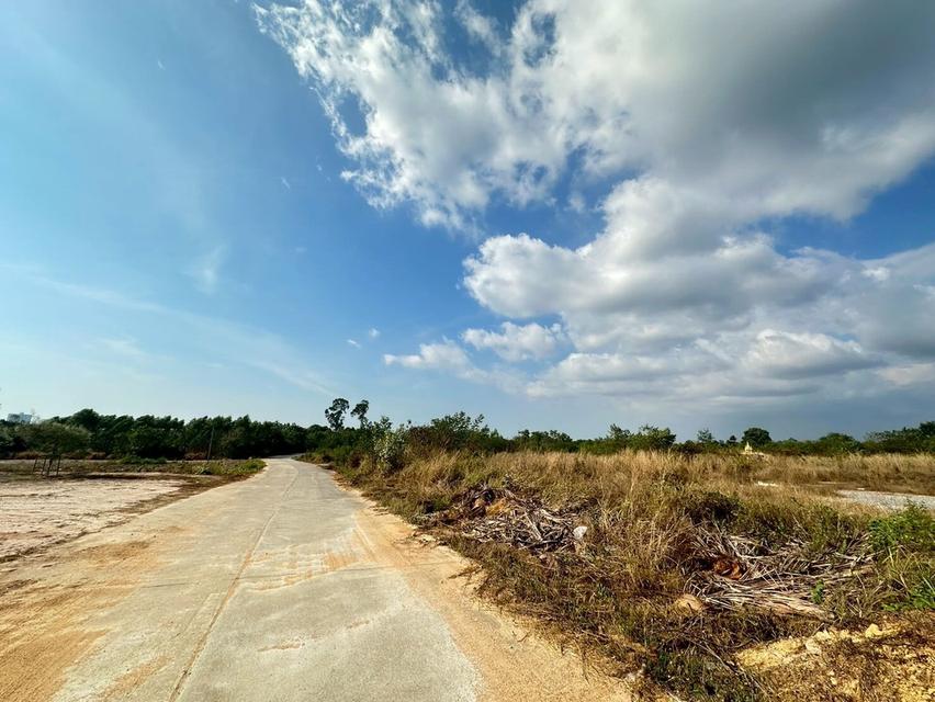 ขายที่ดิน 30 ไร่ ผังสีเหลือง ต.ห้วยใหญ่ อ.บางละมุง จ.ชลบุรี 1