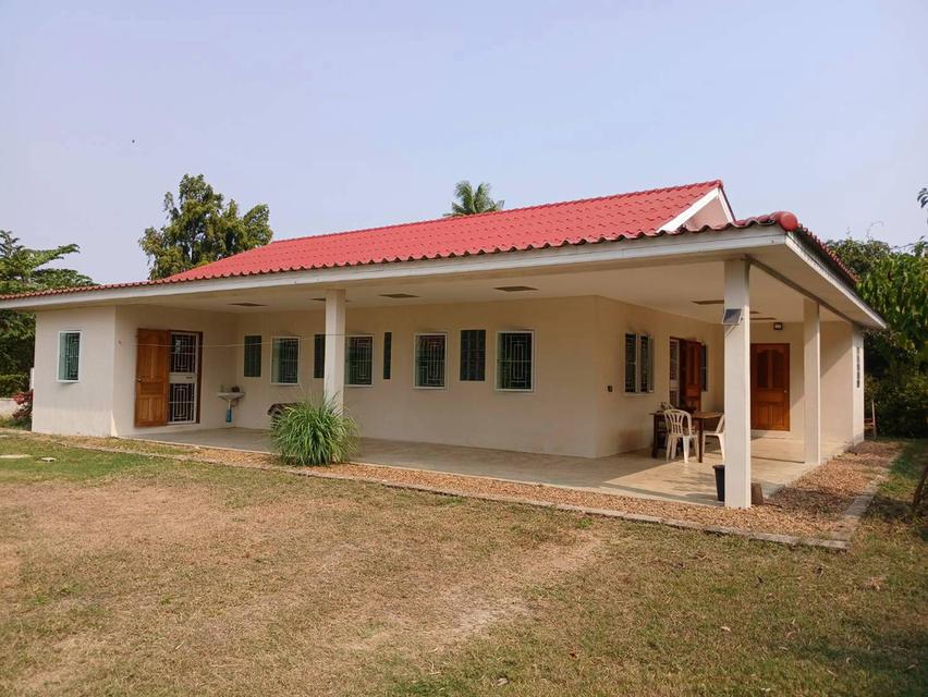 ขายบ้านเดี่ยวชั้นเดียวพร้อมที่ดิน ต.หนองกบ อ.บ้านโป่ง จ.ราชบุรี ทำเลดี เดินทางสะดวก 1