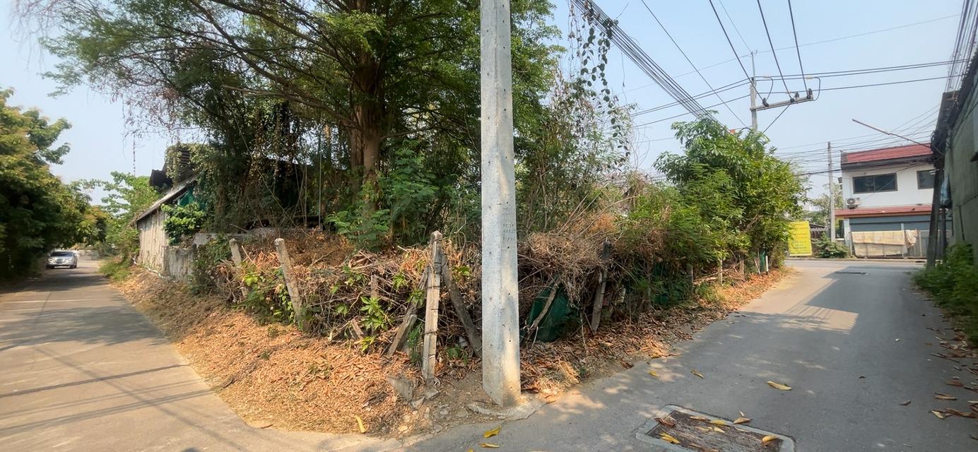 ที่ดินลำพูน อำเภอเมือง ติดถนนสันเหมืองเหนือ 2