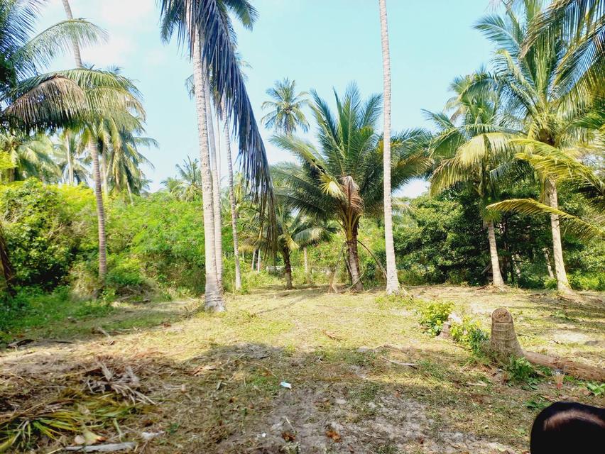 🌊 Large Land Plot Near the Sea — Perfect for Ultimate Privacy 4