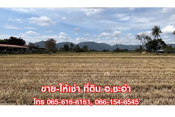 ขายที่ดินเปล่า 3 ไร่ ชะอำ เพชรบุรี ที่สวย ใกล้หัวหิน 3