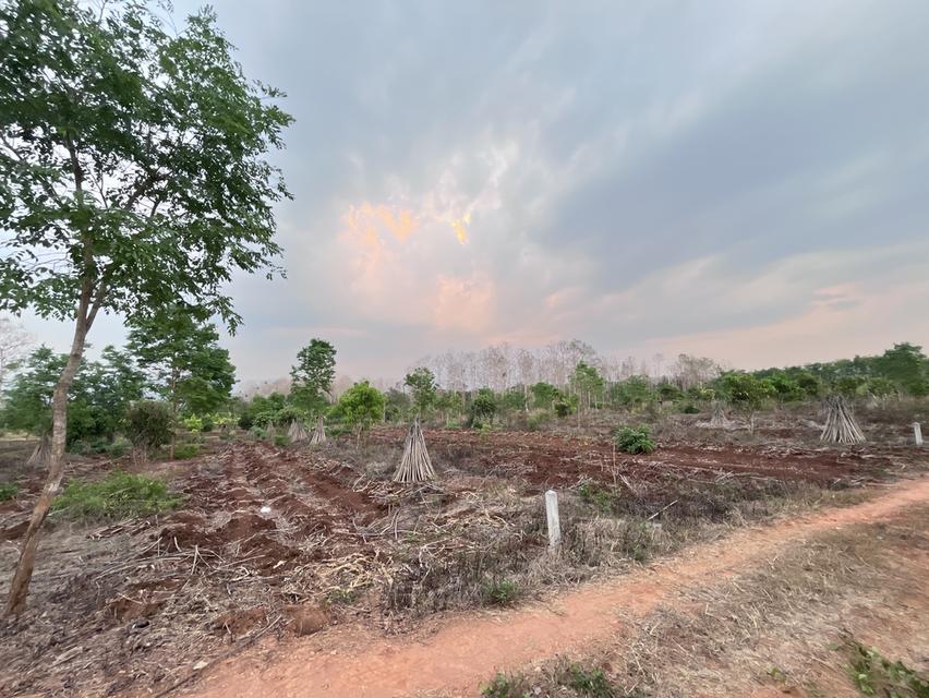 ขายที่ดินวิวภูเขา500000 7