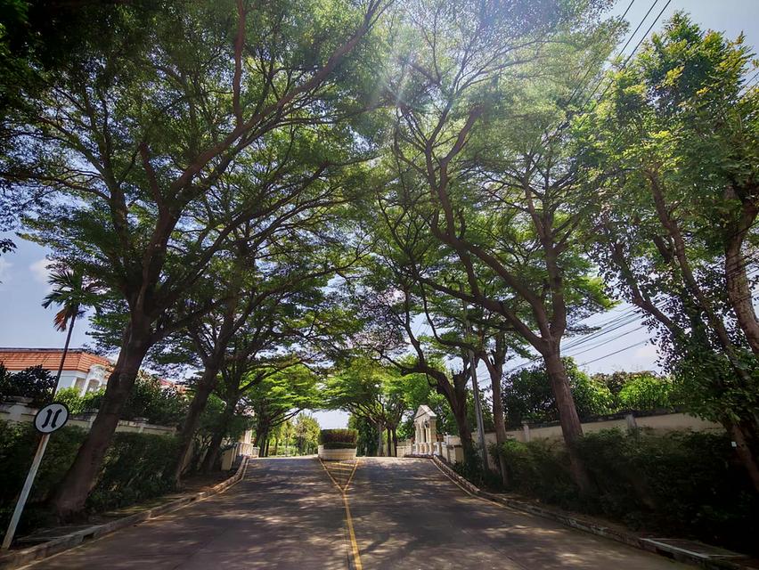 ให้เช่า ทาวเฮ้าส3ชั้น The URBAN sathorn รีโนเวทใหม่ เพียง 4นาทีถึง BTS บางหว้า 19