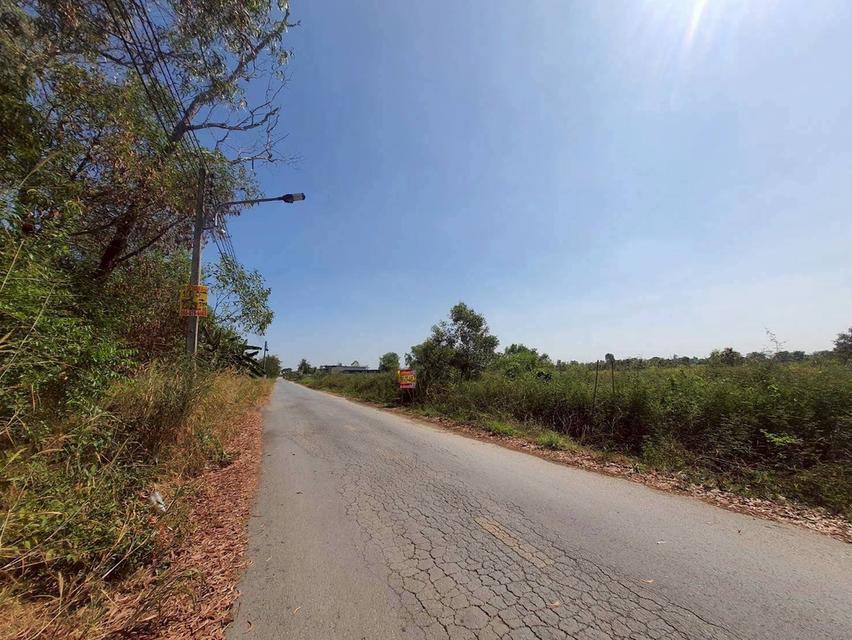 🔊Vายถูก‼️ที่ดิน 100 ตารางวา💢ติดถนนลาดยางสาธารณะ 📌 คลองสี่ ตะวันออก70 อ.คลองหลวง จ.ปทุมธานี 5