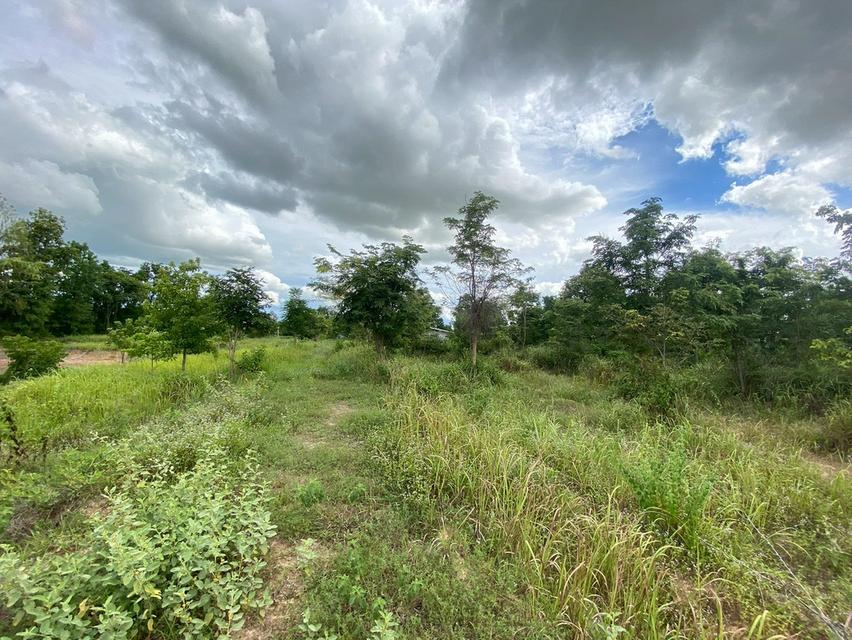 ขายที่ดิน เมืองพล จังหวัดขอนแก่น 2