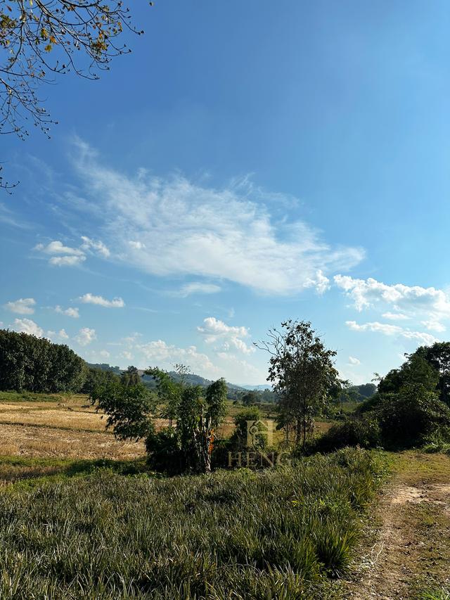 ที่ดินวิวภูเขา 88 ไร่ ติดถนนใหญ่ ทำเลอนาคตไกล แม่จัน  โอกาสพัฒนาได้หลายรูปแบบ!” 18