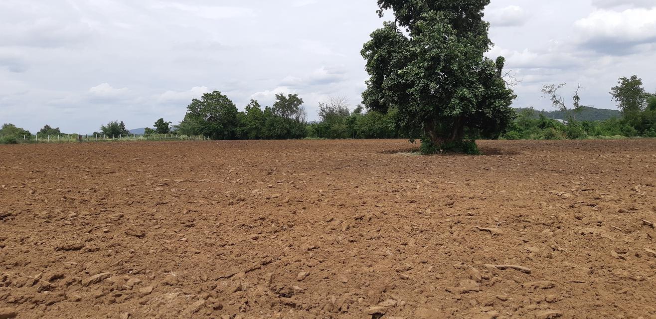 ขายที่ดินติดแม่น้ำป่าสัก 38-1-73 ไร่ แถมที่ดินเป็น น.ค.3 จำนวน 18 -2-59 ไร่ 11