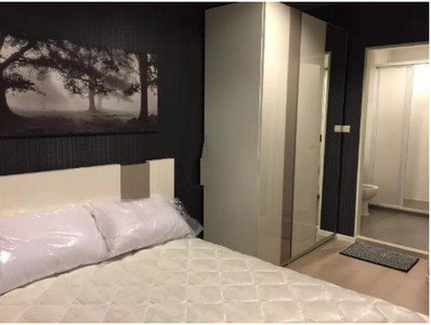 Room for Rent at Aspire Sukhumvit 48  4