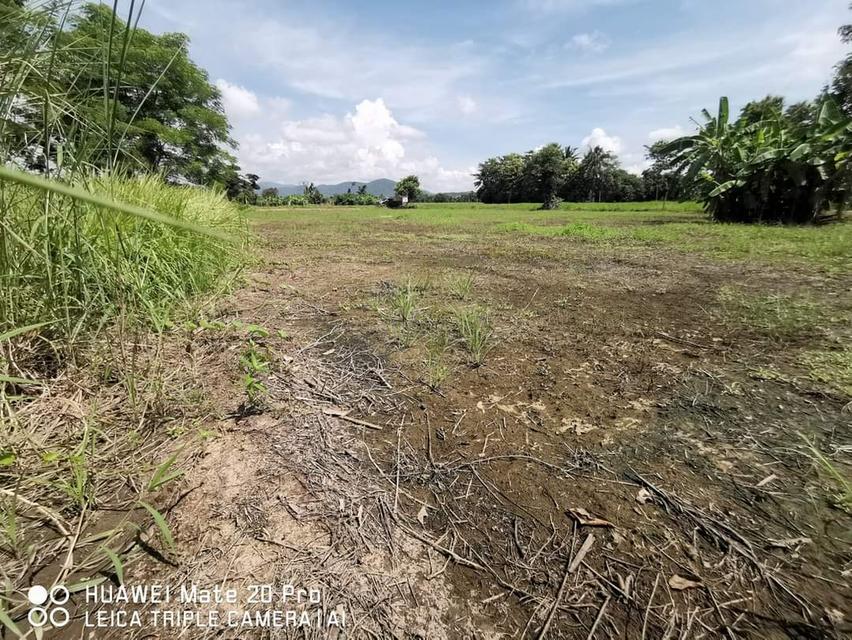 ขายที่ดิน วิวภูเขา สันทราย เชียงใหม่  3