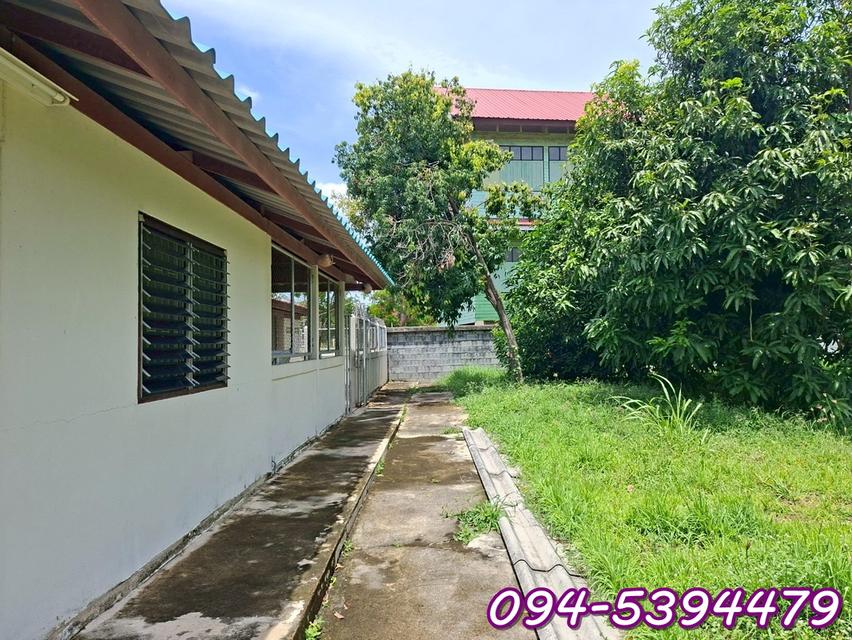 ที่ดิน 1 ไร่ พร้อมสิ่งปลูกสร้าง (บ้านทรงไทย) อ.วิเศษไชยชาญ จ.อ่างทอง 20