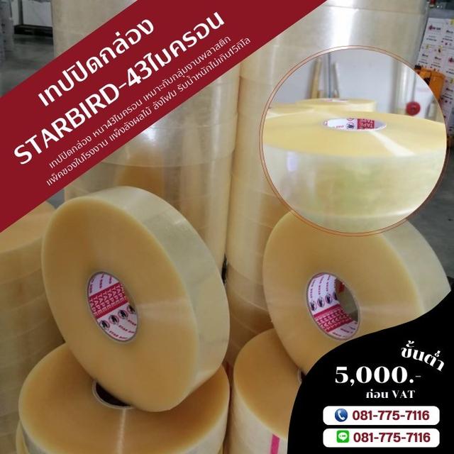 สก็อตเทป เทปปิดกล่อง081-7757116