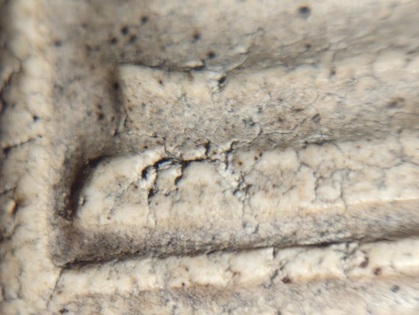 พระสมเด็จวัดระฆัง พิมพ์ใหญ่ รูปที่ 10