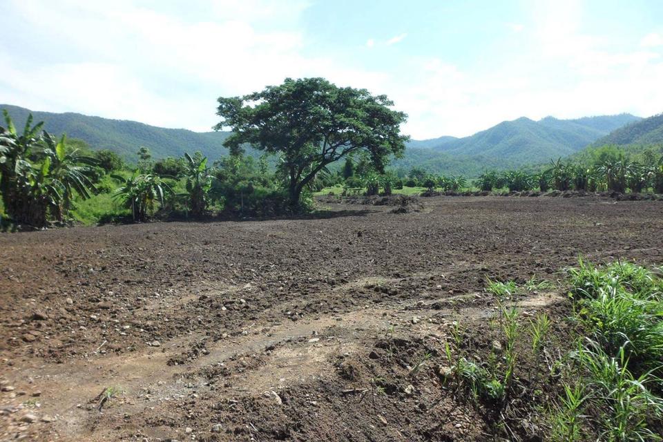 ขายที่ดินแปลงใหญ่ หาผู้ร่วมพัฒนา หาผู้ร่วมงาน ทำเลทองใกล้ Central Festival เชียงใหม่ 6 ไร่ 83.4 ตร.วา (2,483.4 ตร.วา) 4