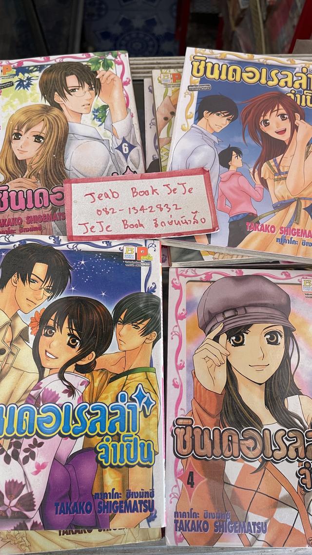 หนังสือการ์ตูน ซินเดอเรลล่าจำเป็น 1-9 จบ 2